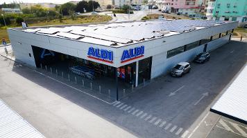 ALDI Amora